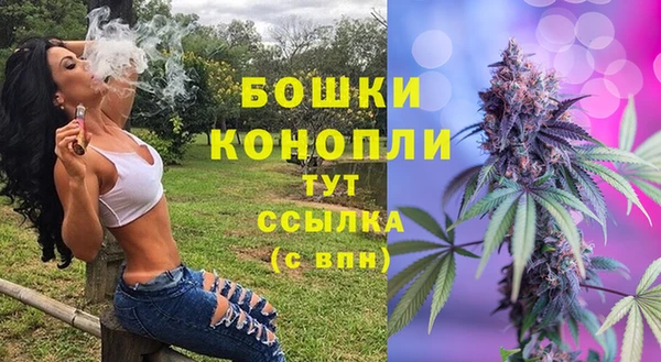 шишки Навашино