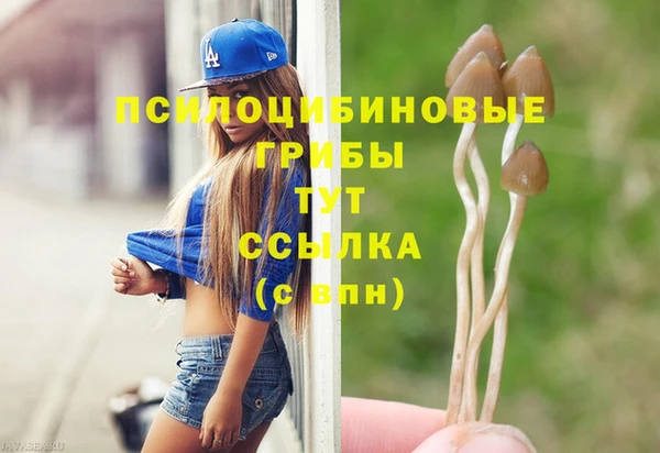 шишки Навашино