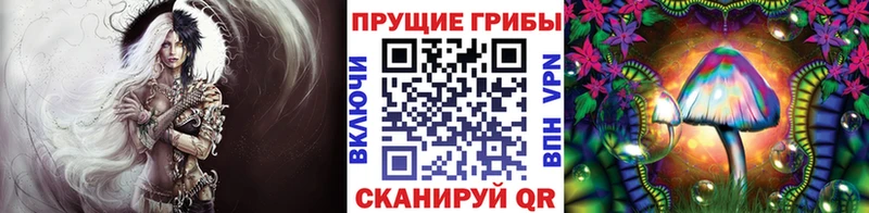 купить закладку  Россошь  Галлюциногенные грибы MAGIC MUSHROOMS 