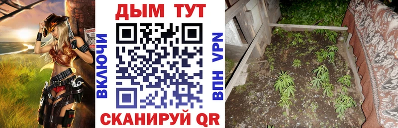 Канабис индика Россошь